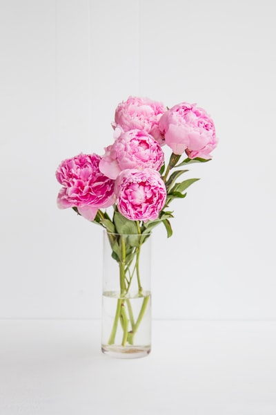 花瓶里的粉红色玫瑰花
